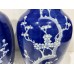 15075  Blue and white vase